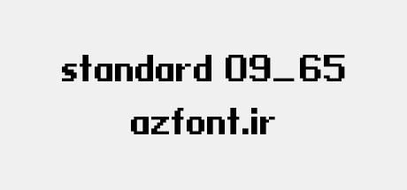 standard 09_65