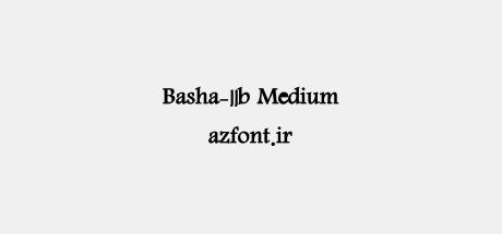 Basha-11b Medium